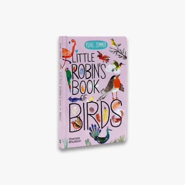 Little Robin's Book of Birds