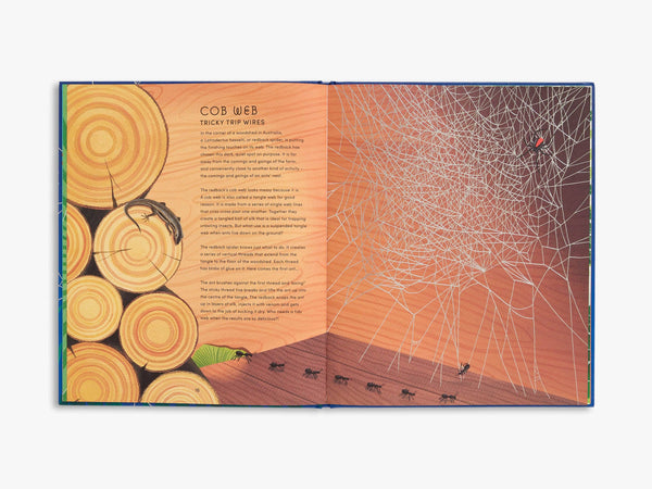 The Secret World of Spider Webs